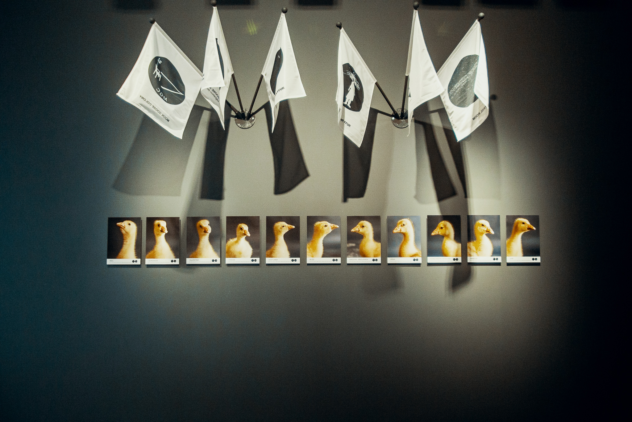 Agnes Meyer-Brandis' Moon Geese for Strata - Rock - Dust - Stars © York Mediale